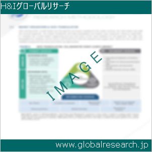 グローバルリサーチ調査レポートのイメージ